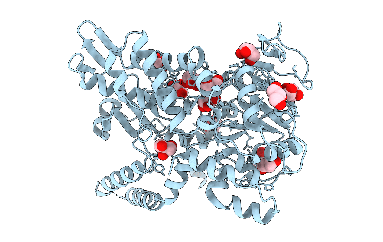 5L50 image