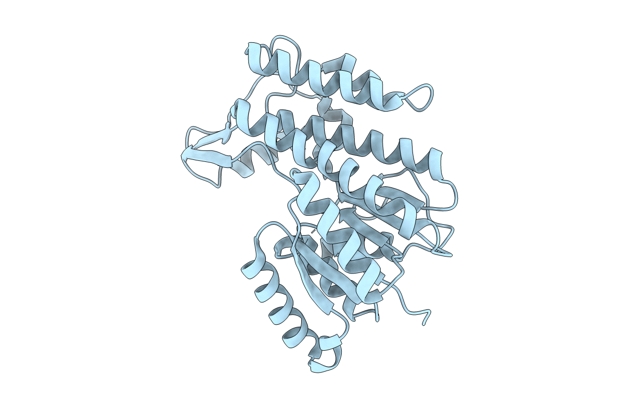 5L51 image