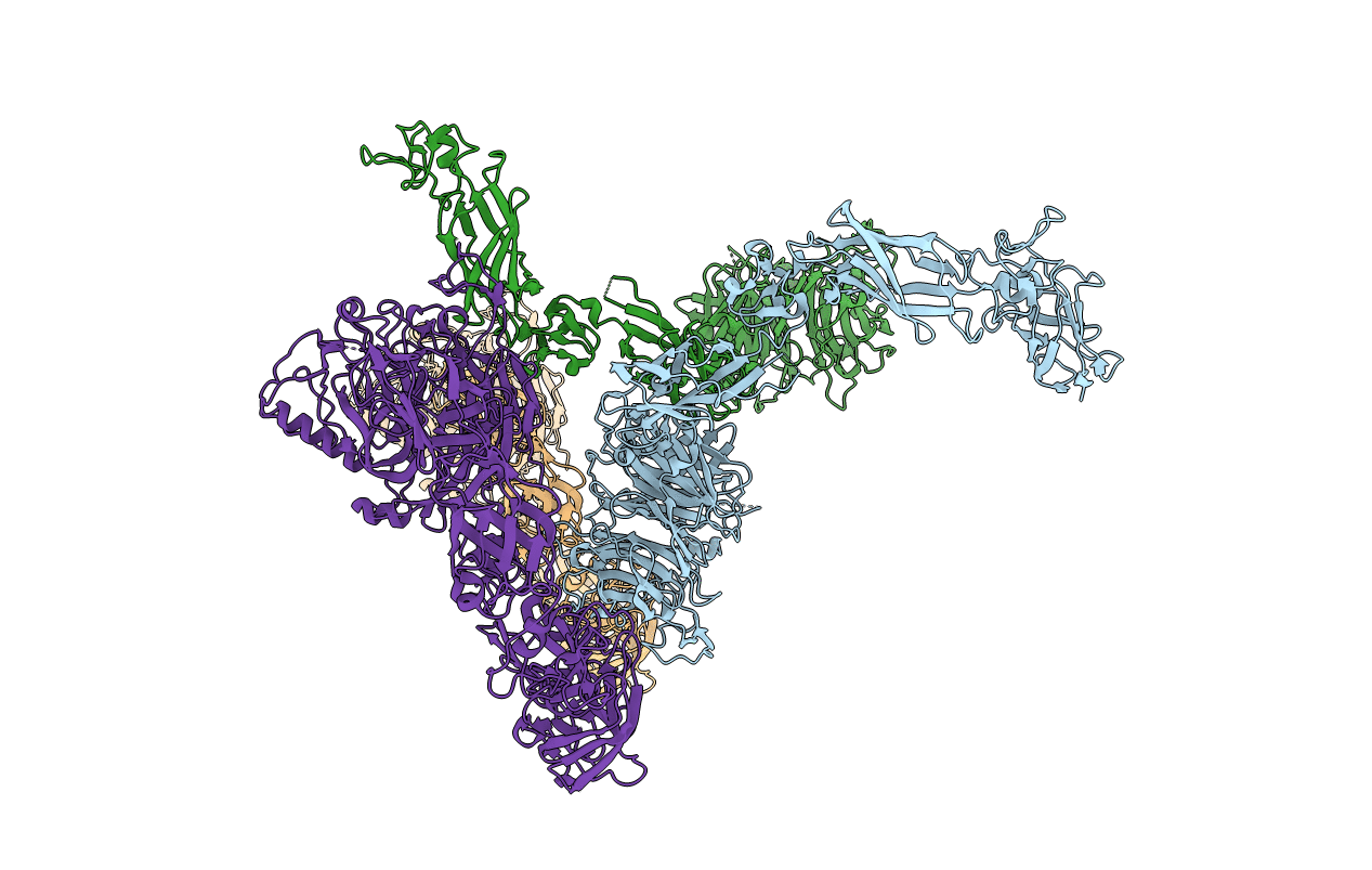 5L5G image