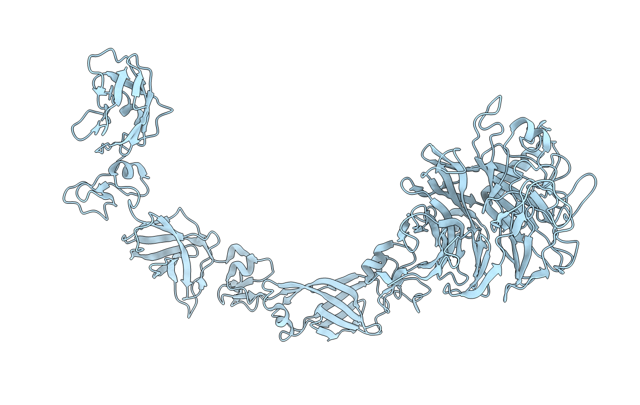 5L5M image