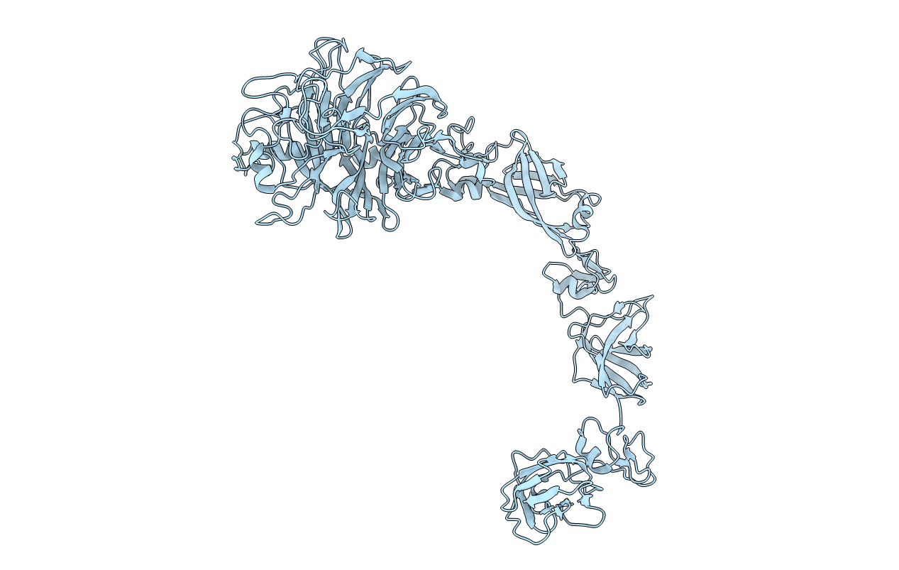 5L5N image