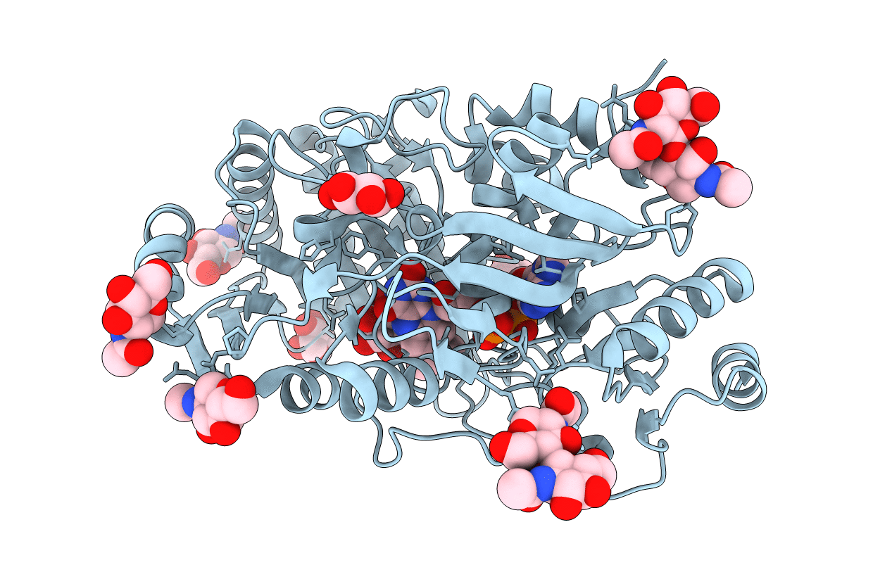 5L6G image
