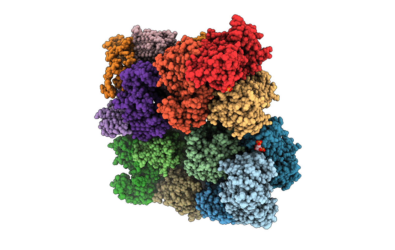 5L6S image