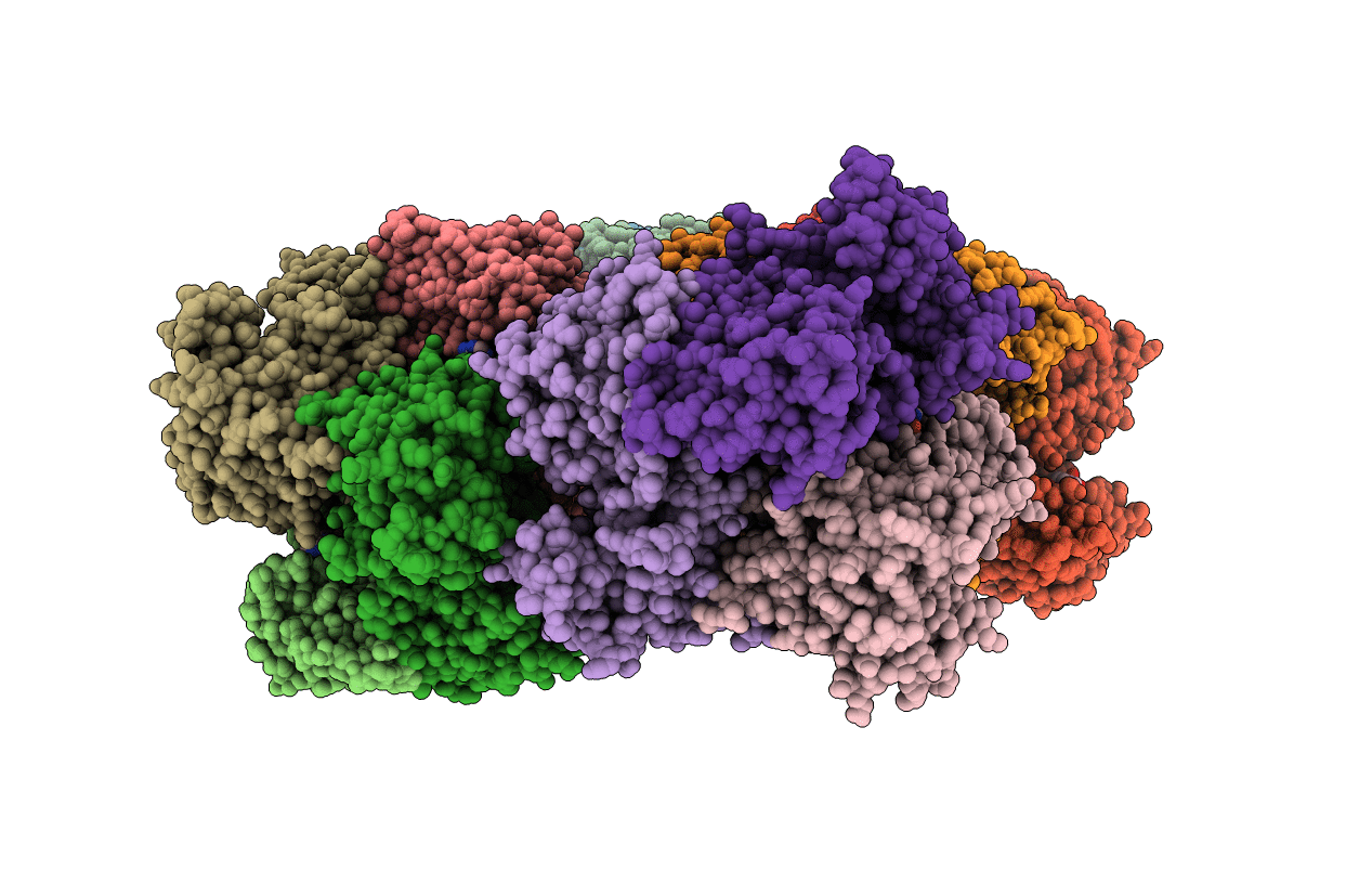 5L6V image