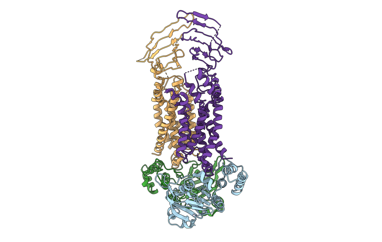 5L75 image