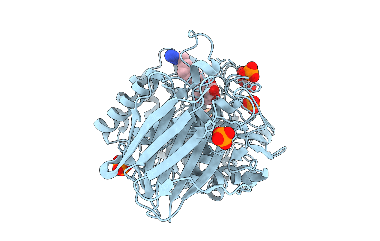 5L77 image