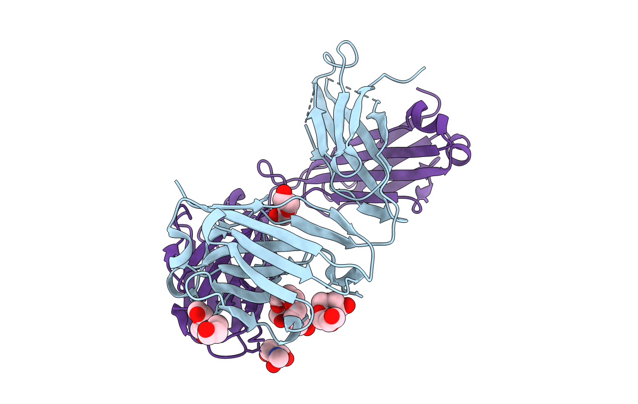 5L7X image