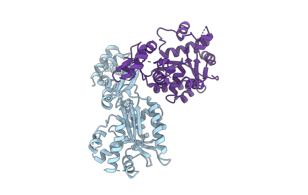5L80 image
