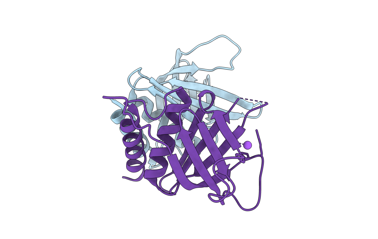 5L81 image