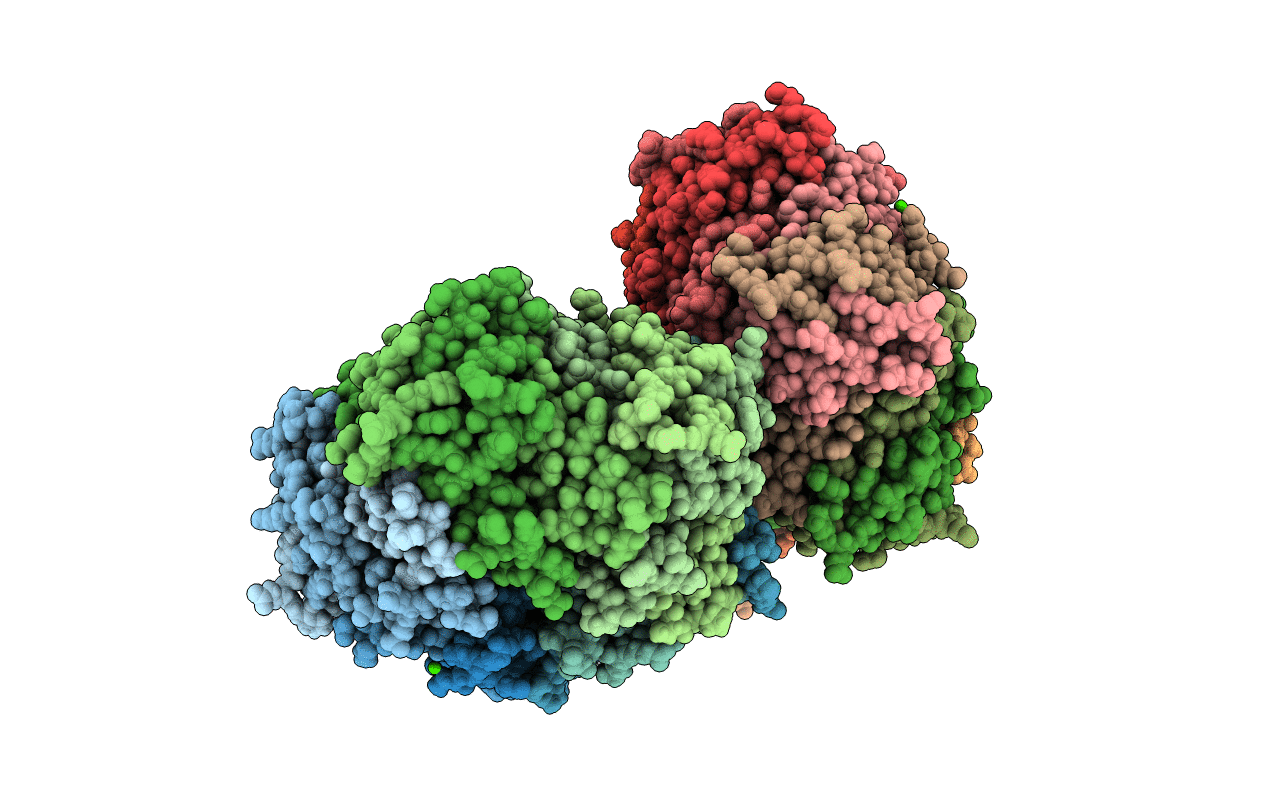 5L89 image