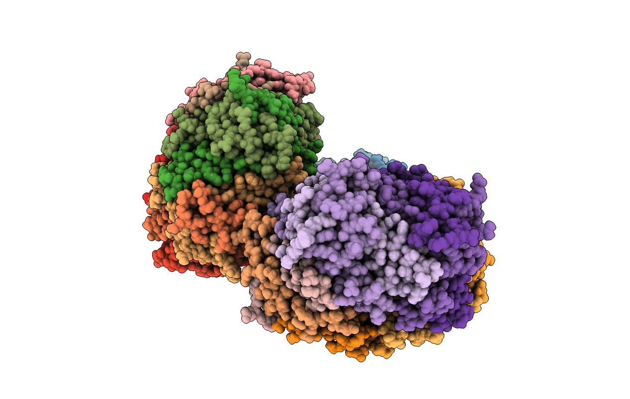 5L8B image