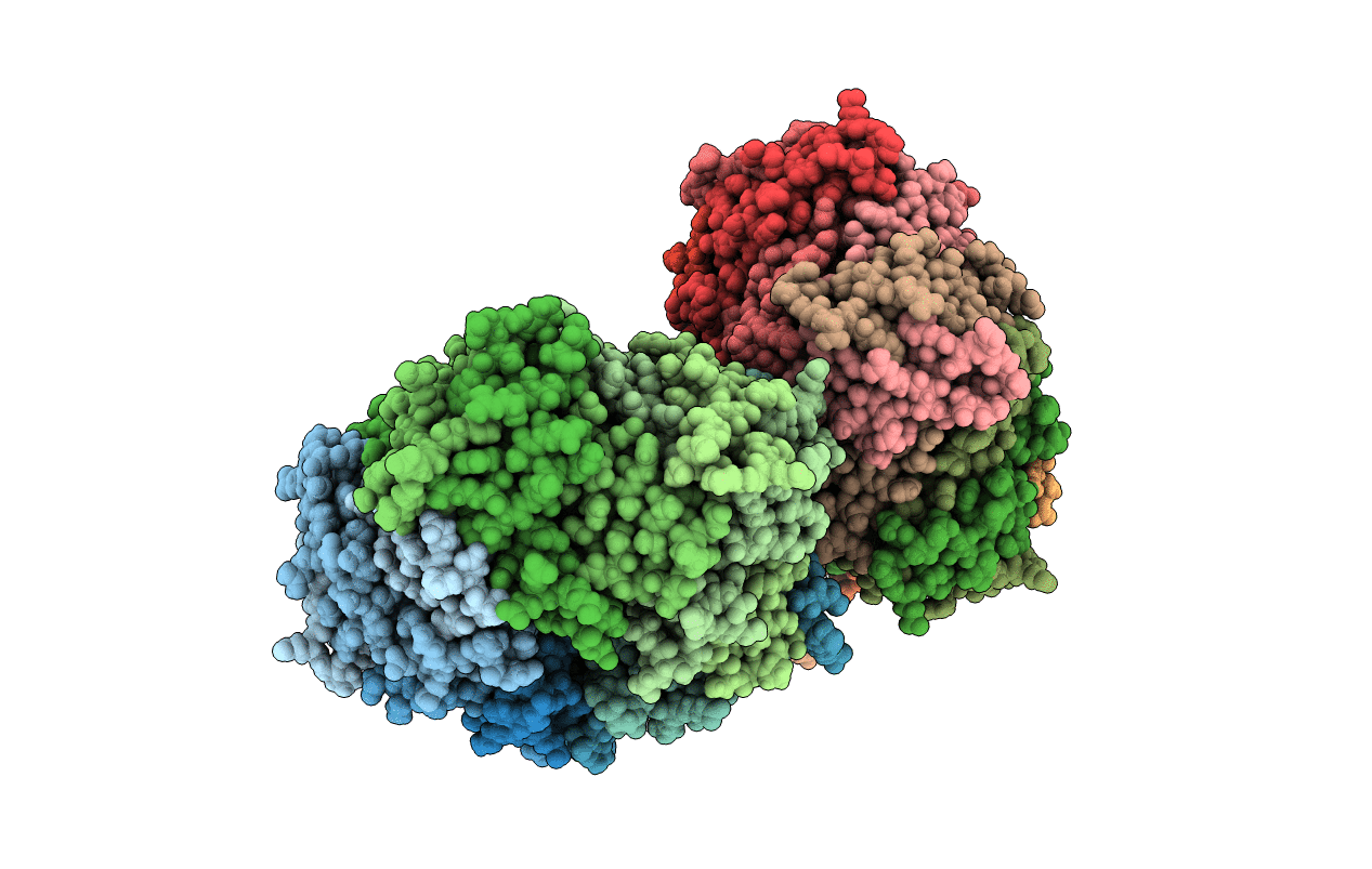 5L8G image