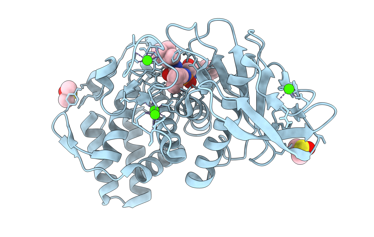 5L8P image