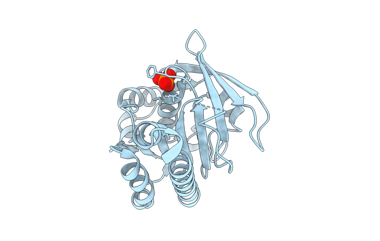 5L8V image