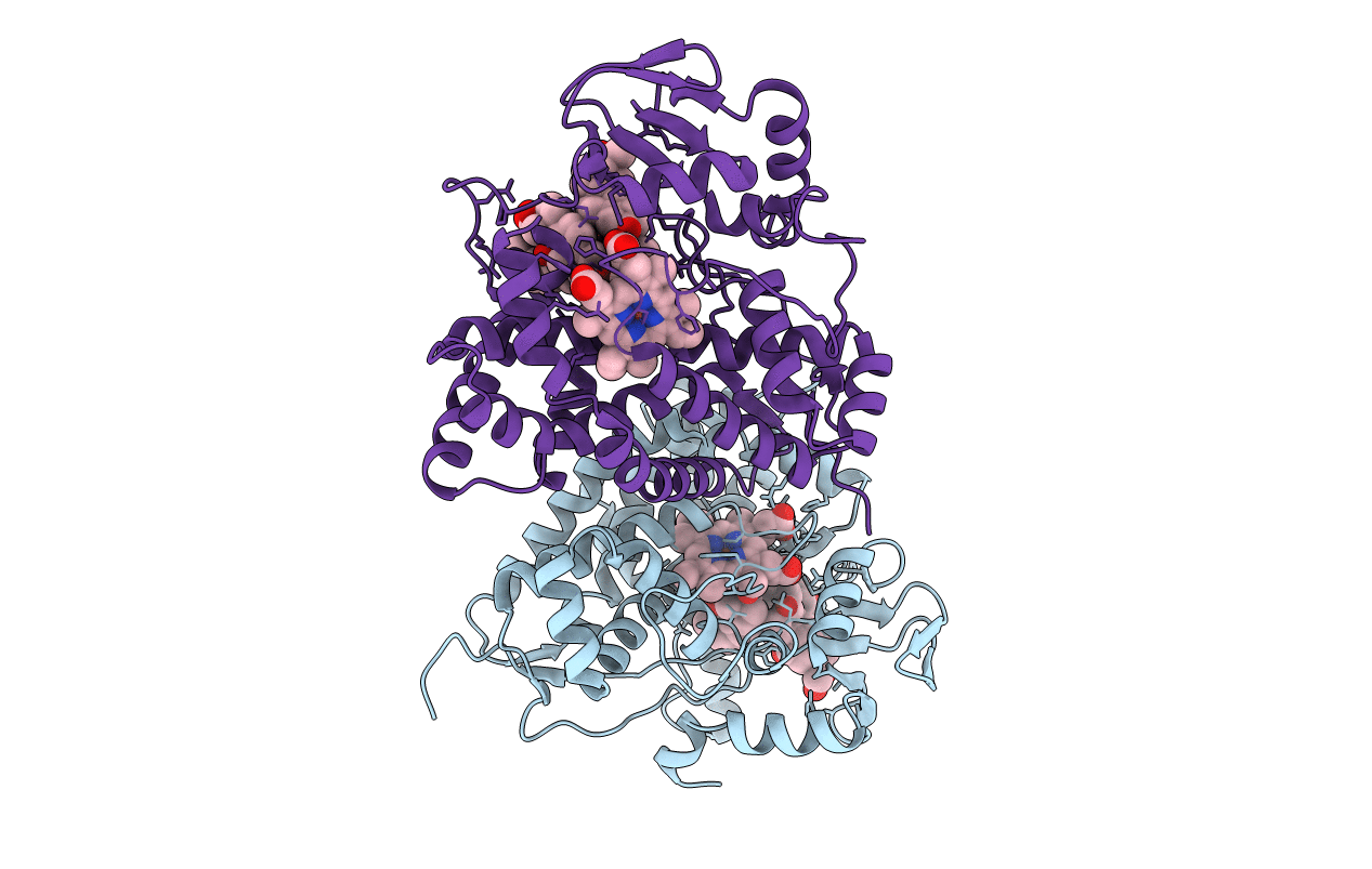 5L91 image