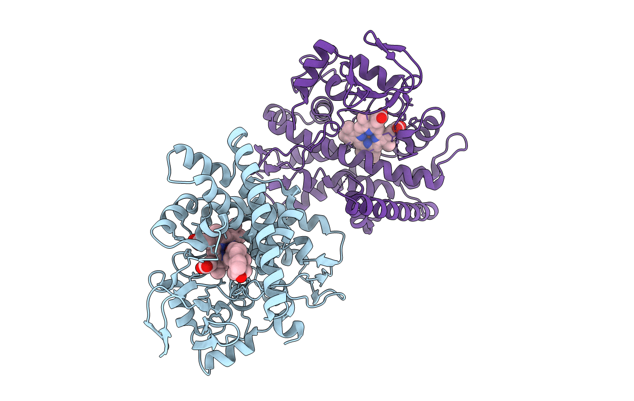 5L94 image