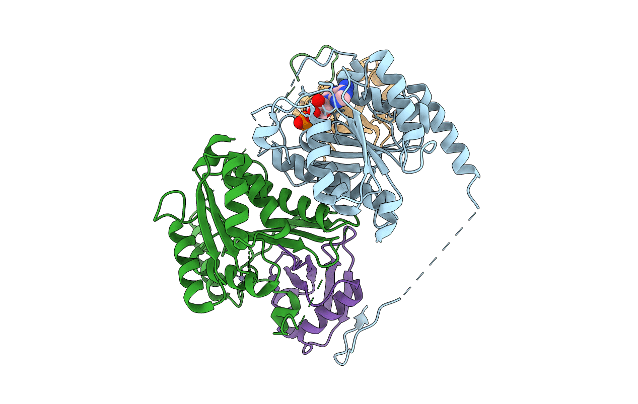 5L95 image