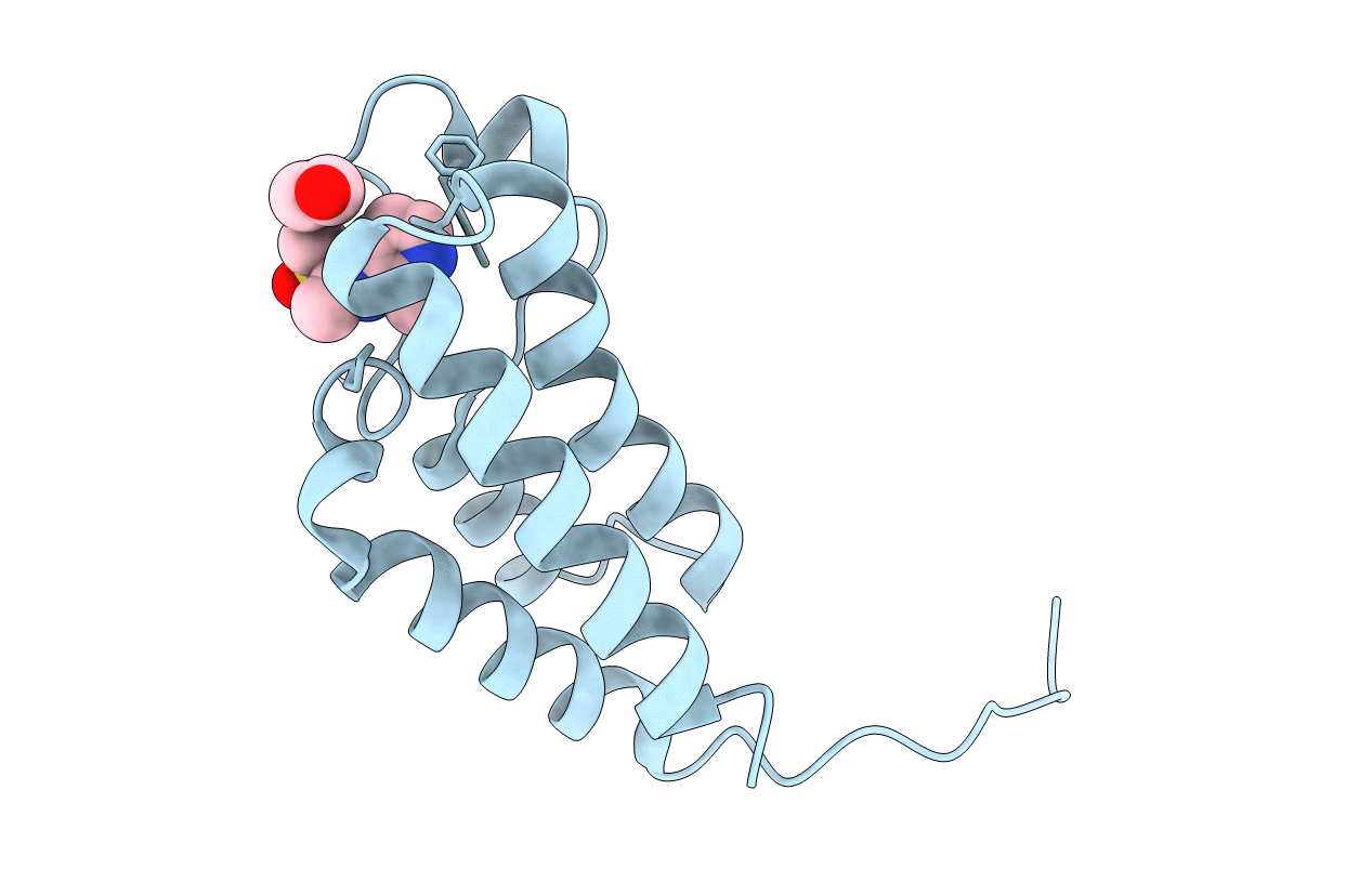5L96 image