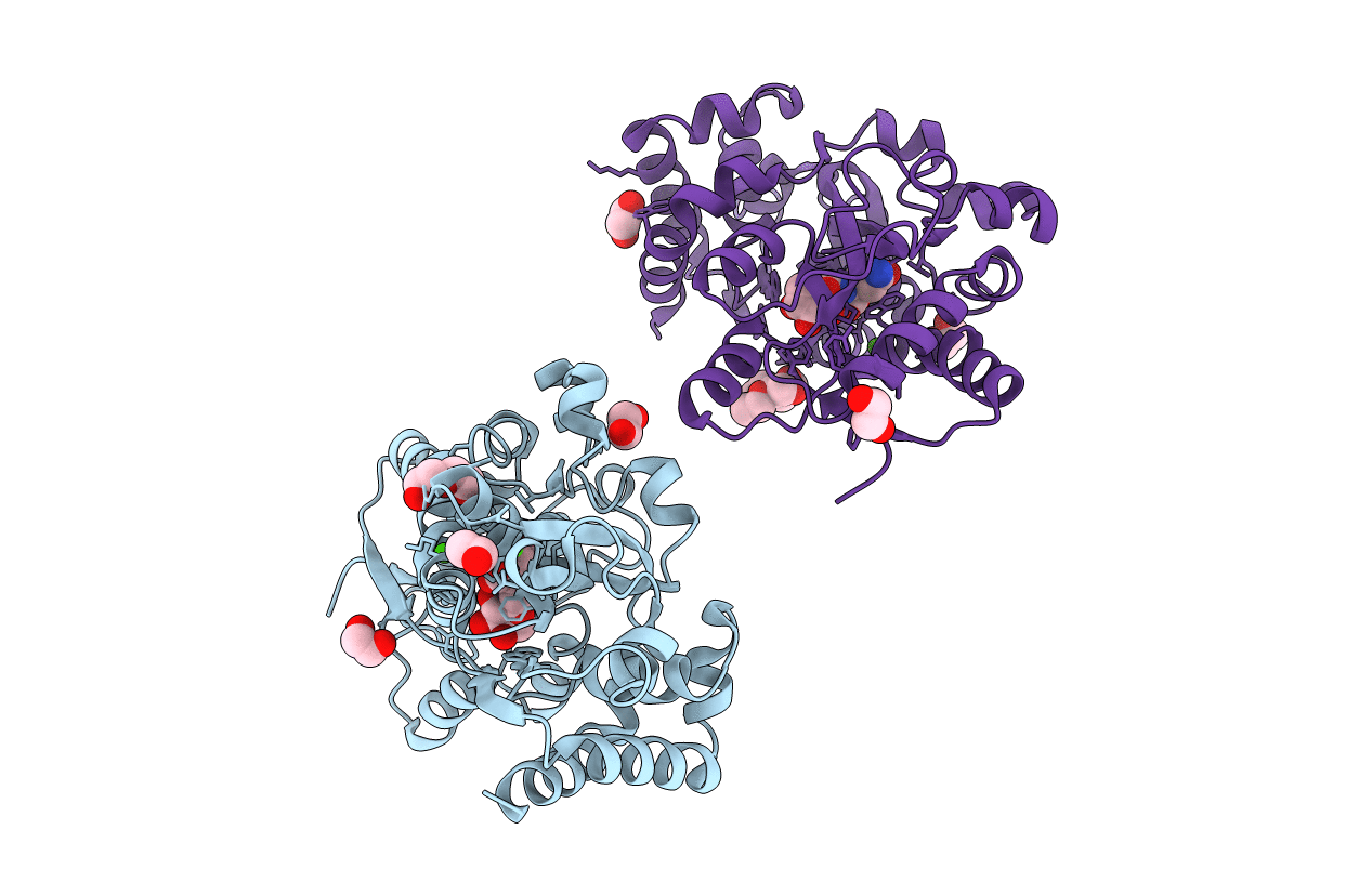 5L9I image