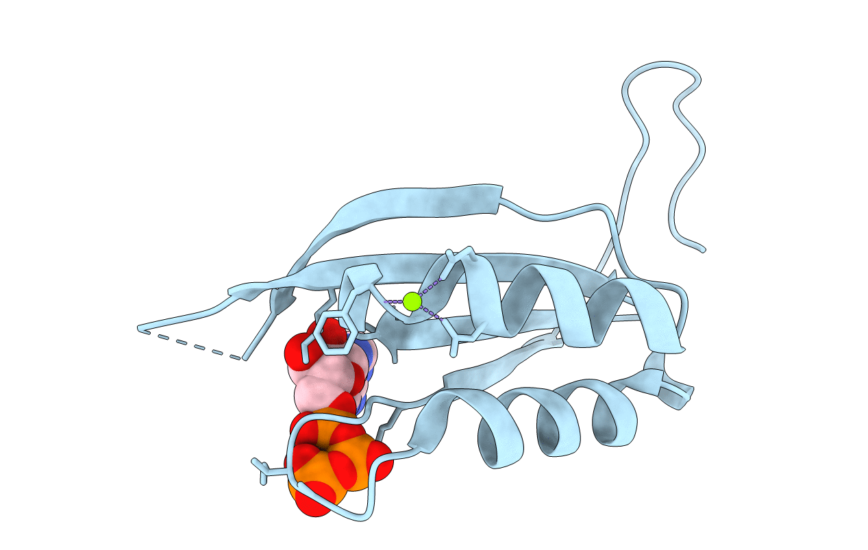 5L9N image