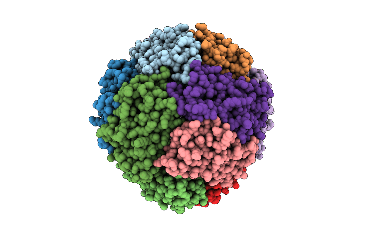 5LBH image
