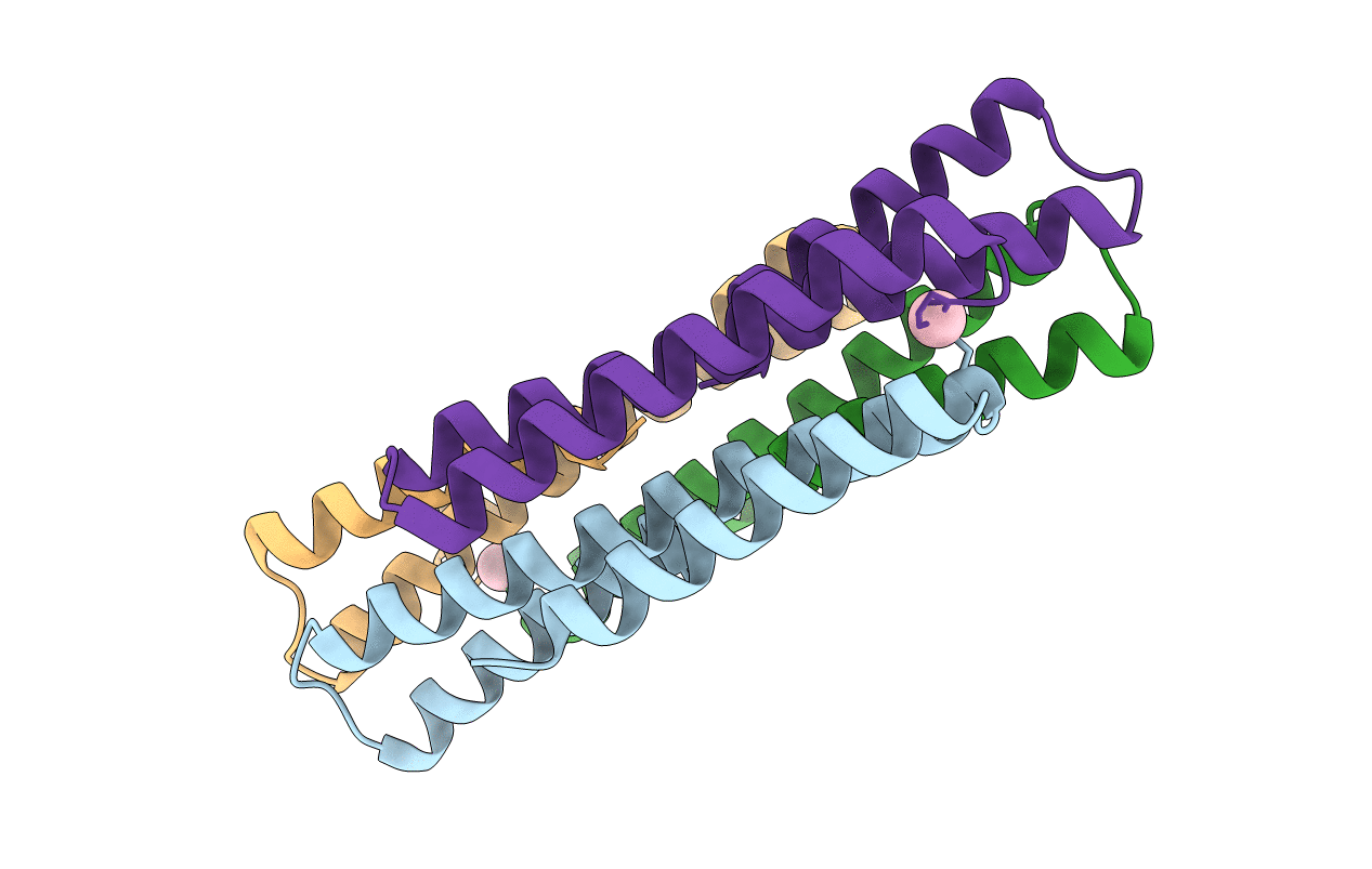5LBM image