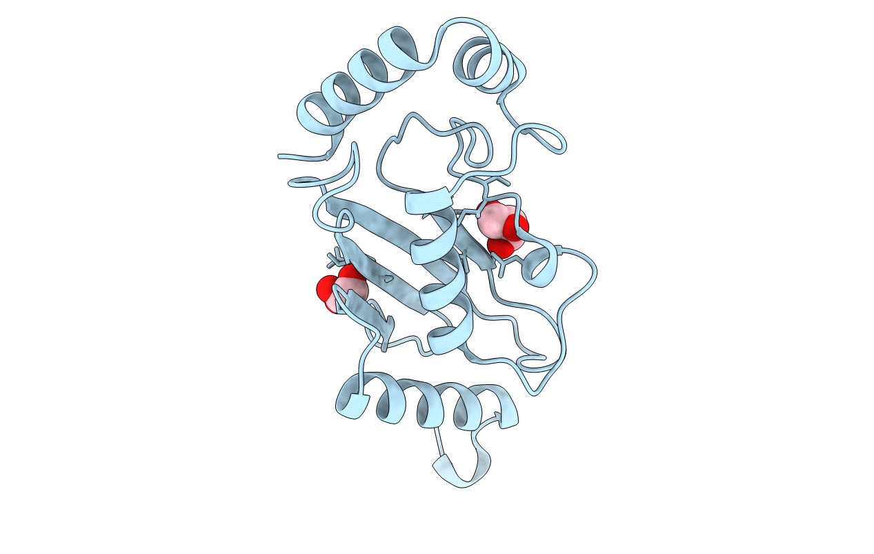 5LBN image