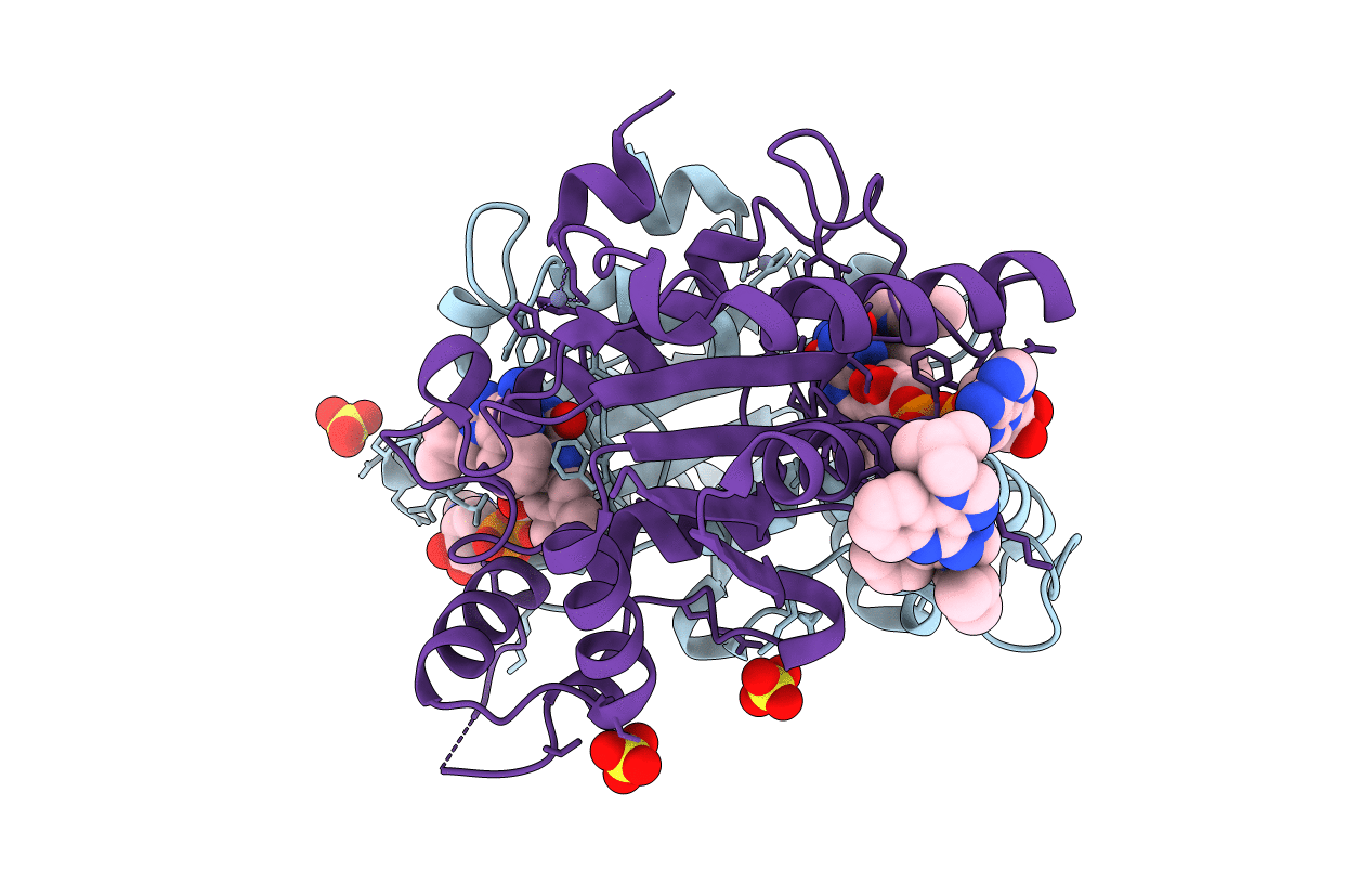 5LBT image