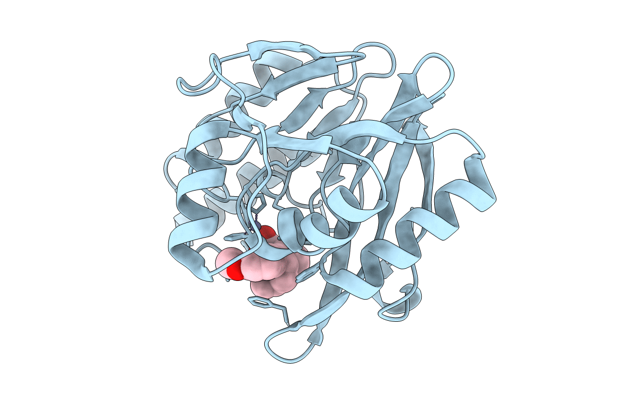 5LCH image