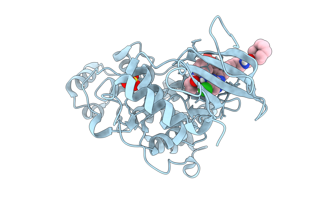 5LCJ image