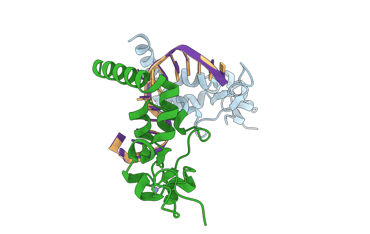 5LCL image