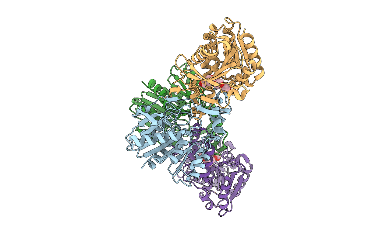 5LCN image
