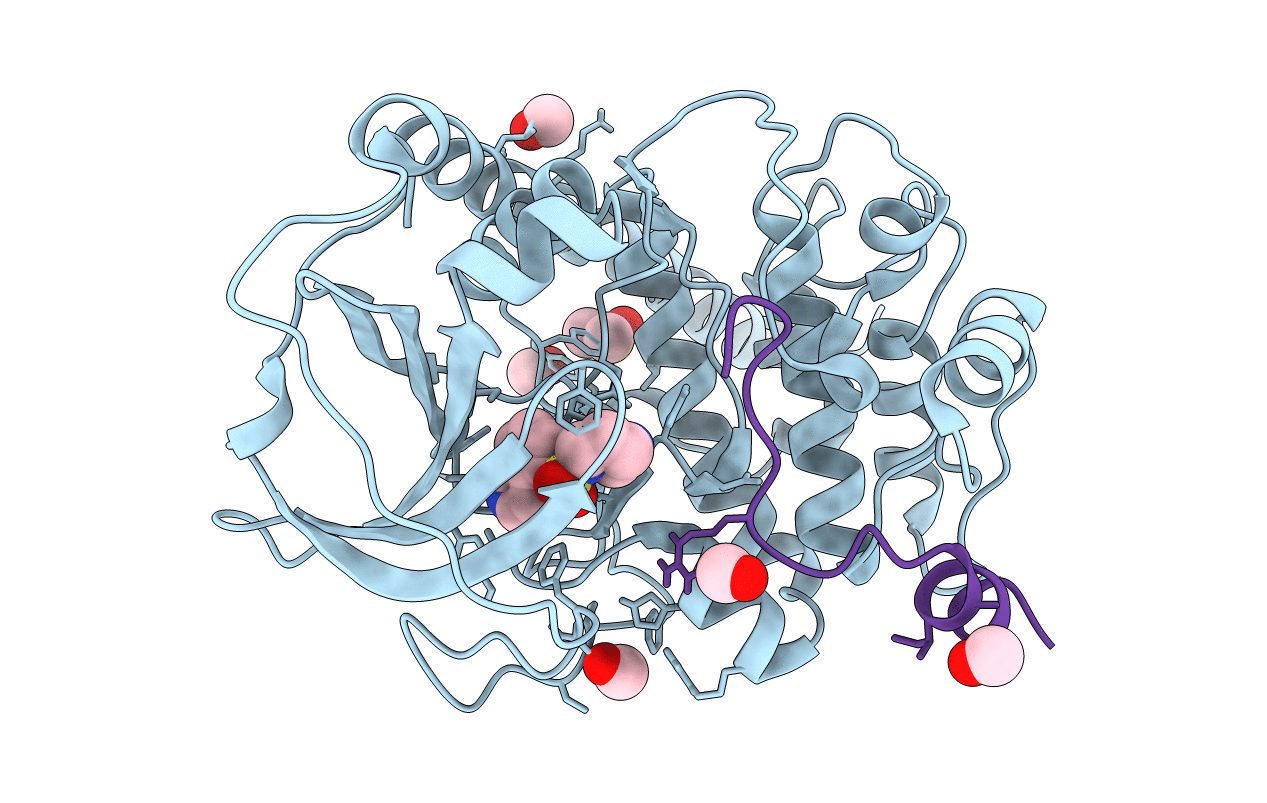 5LCP image