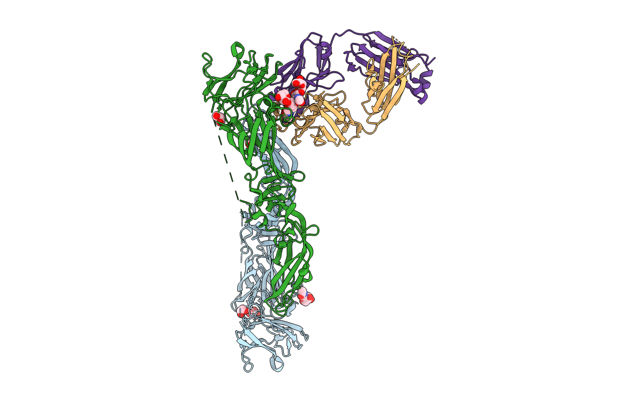 5LCV image