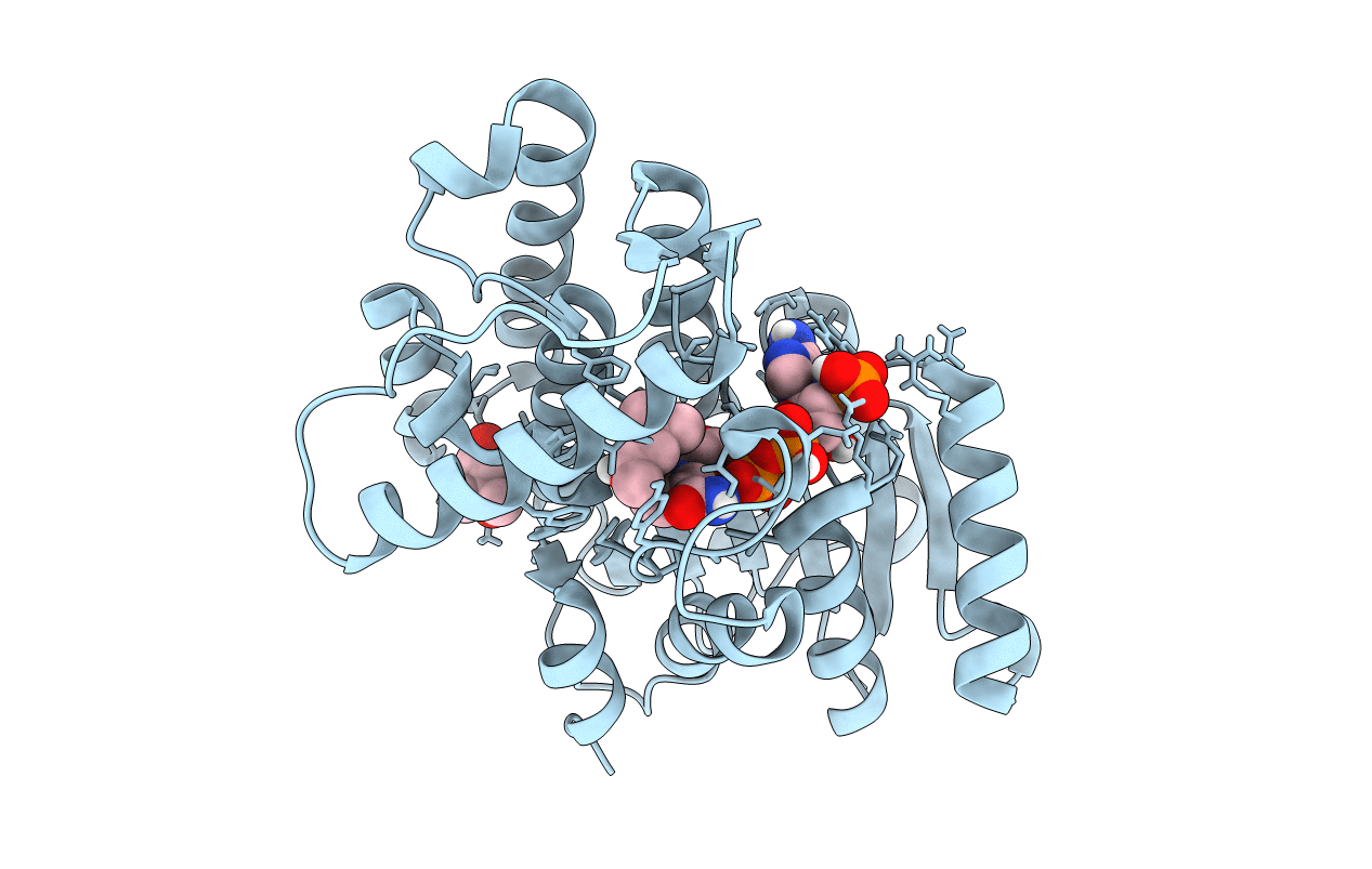 5LCX image
