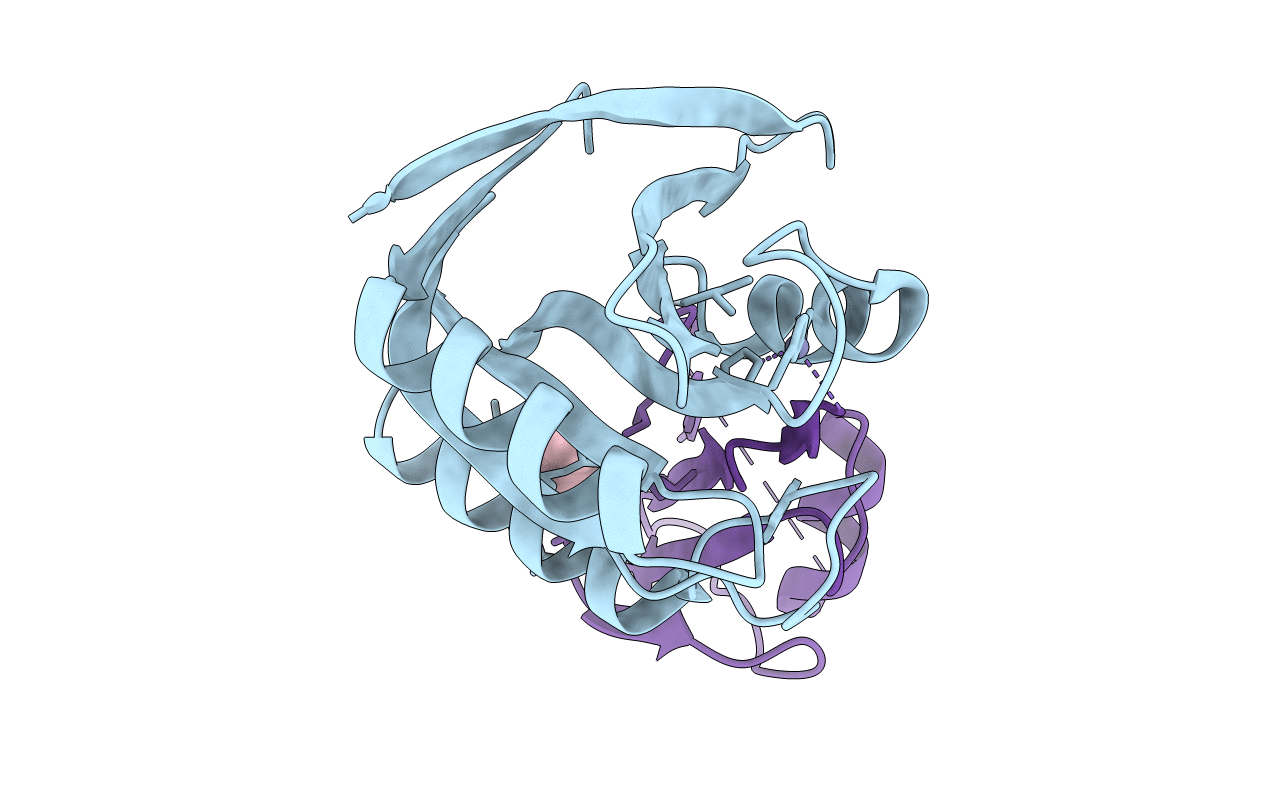 5LDA image