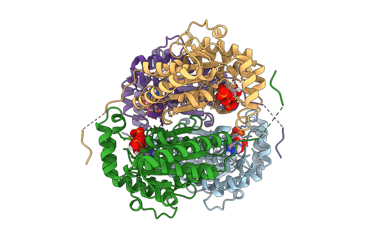 5LDB image