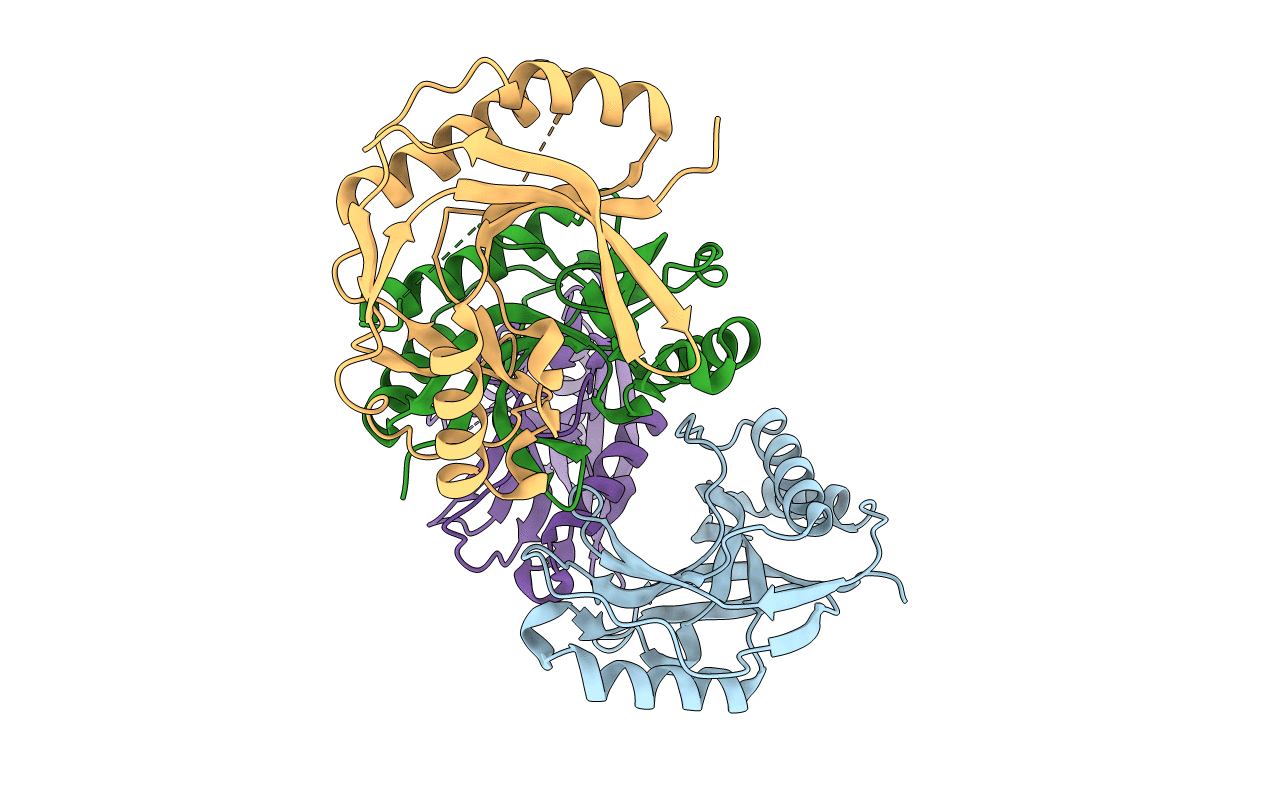 5LDI image