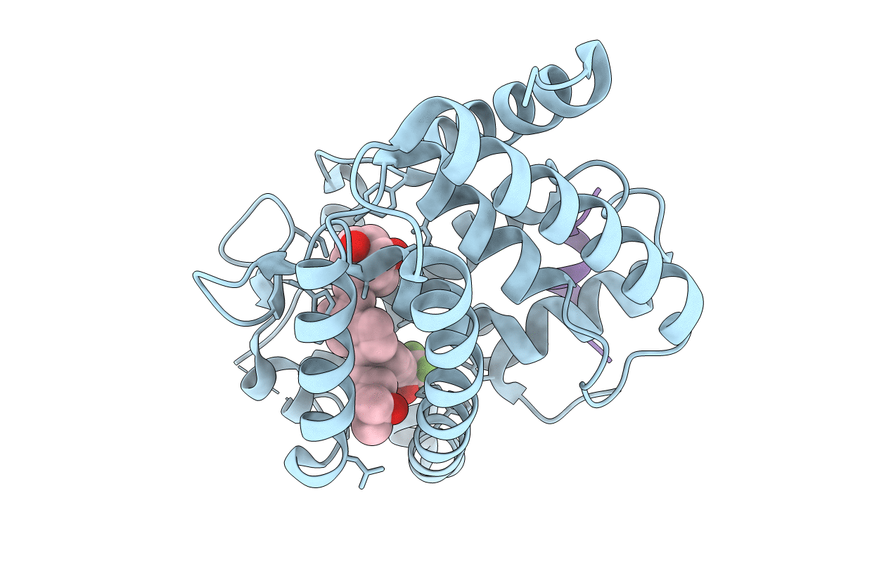5LGA image