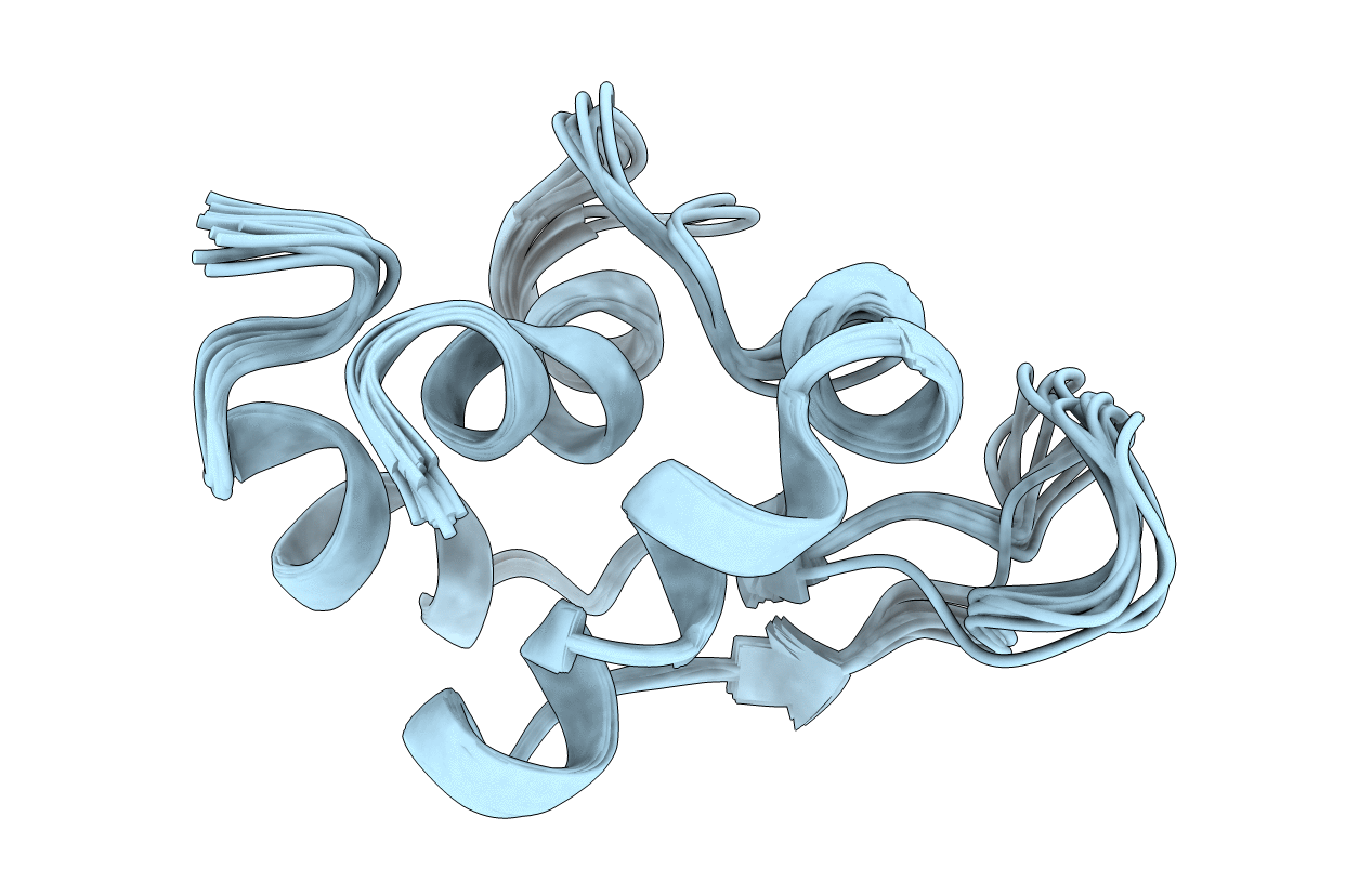 5LGM image