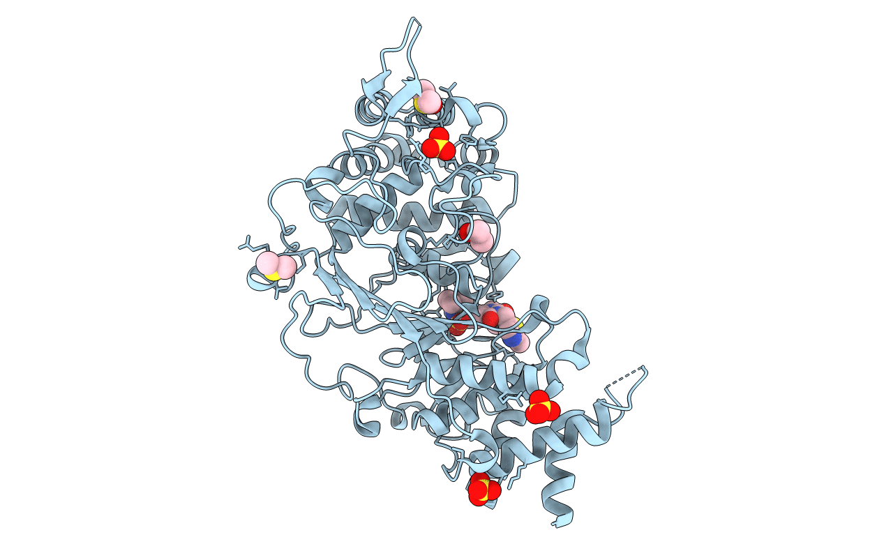 5LHB image