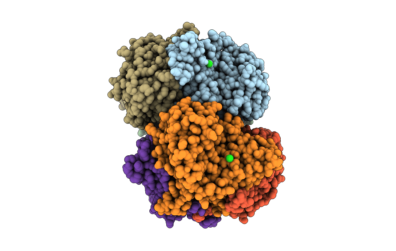 5LHL image