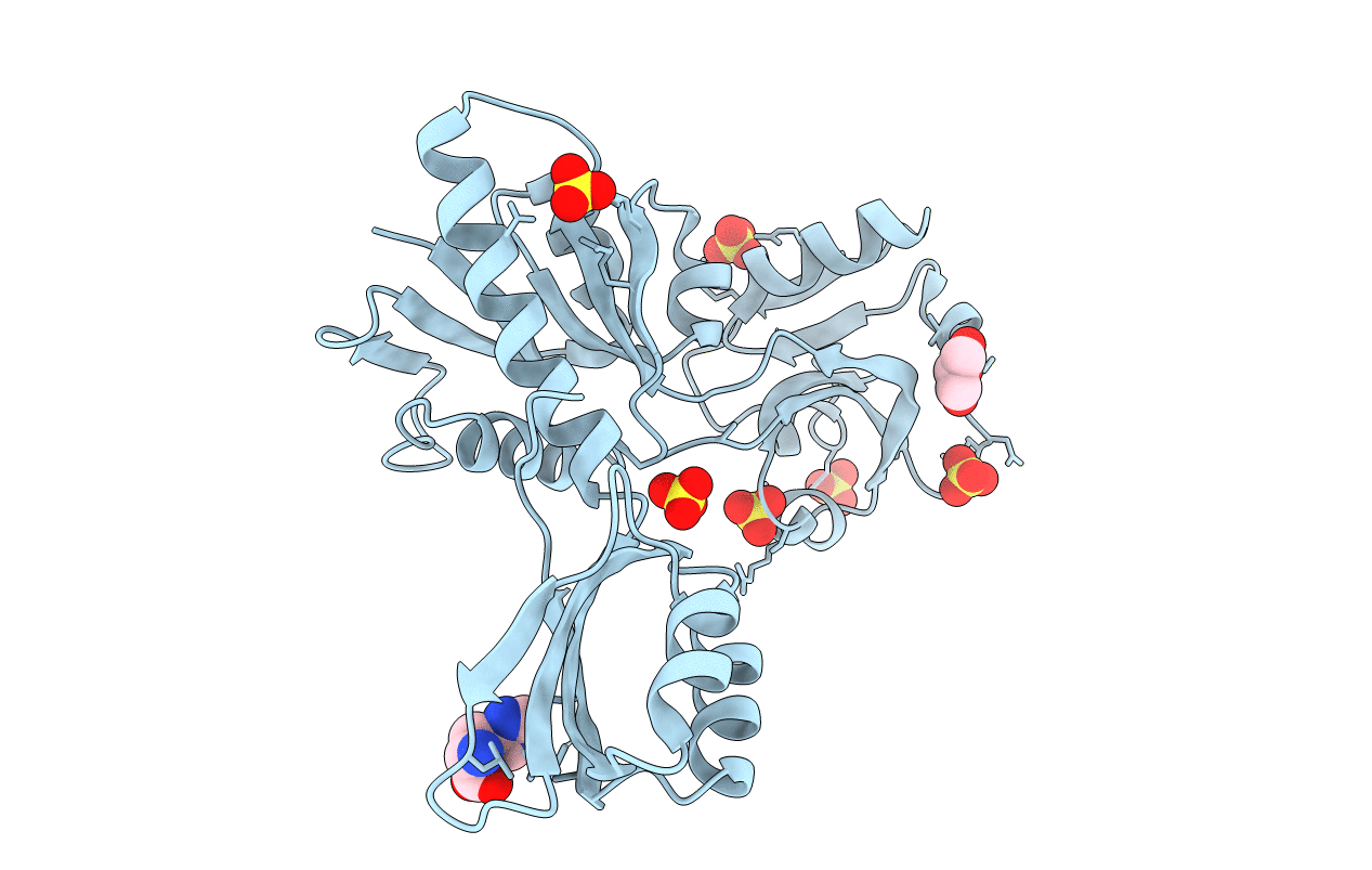 5LHU image