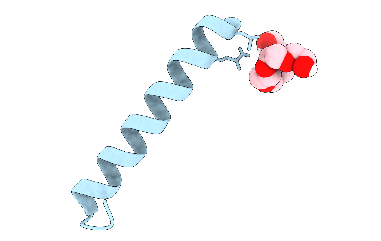 5LHW image