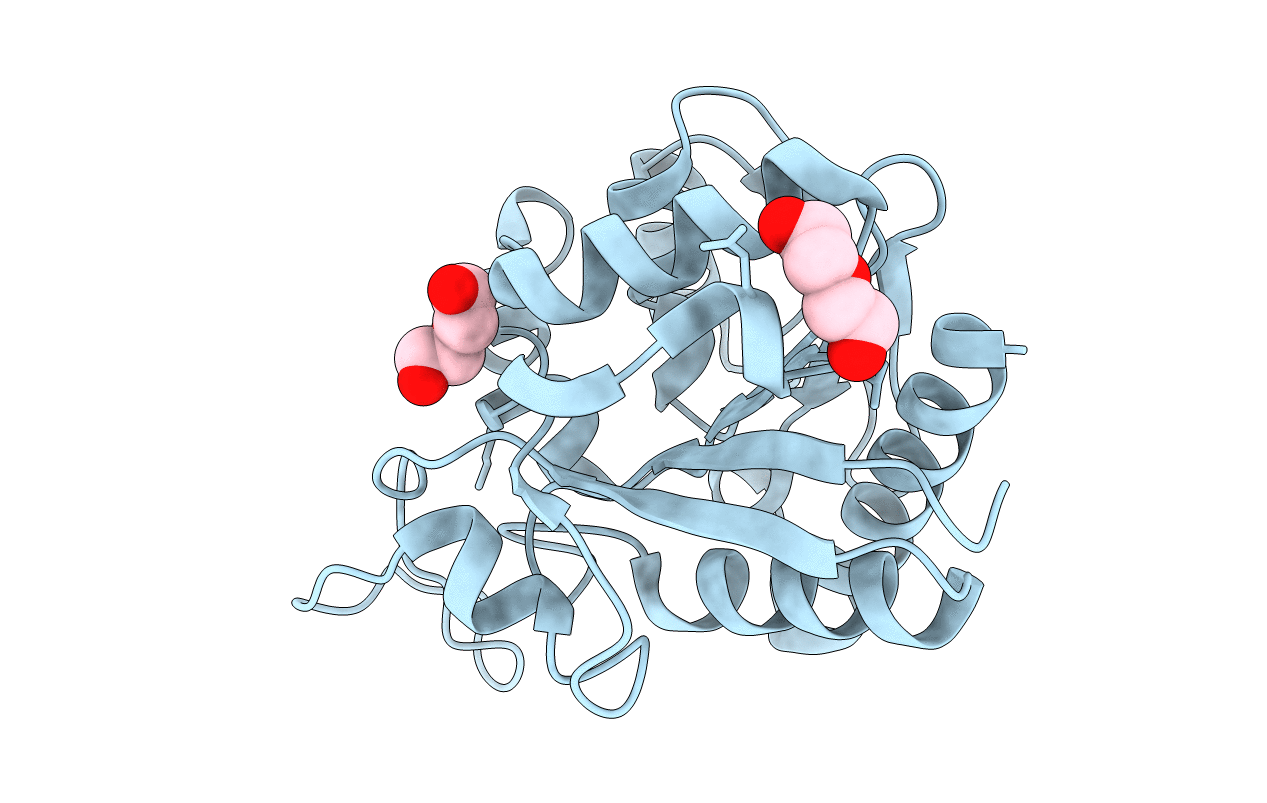 5LIR image