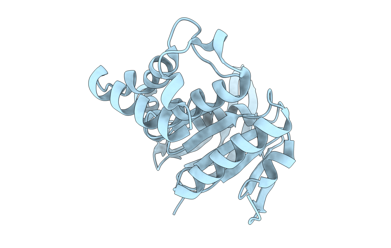 5LJA image