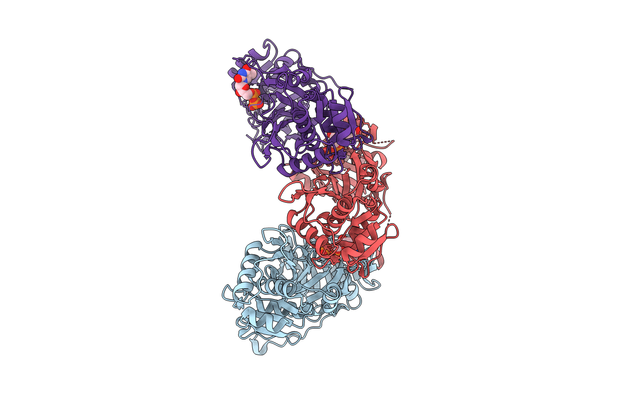 5LKM image