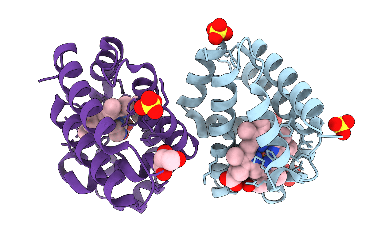5LKV image