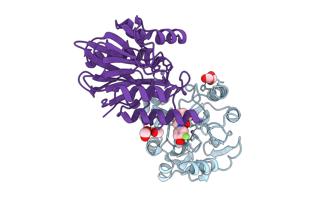 5LM6 image