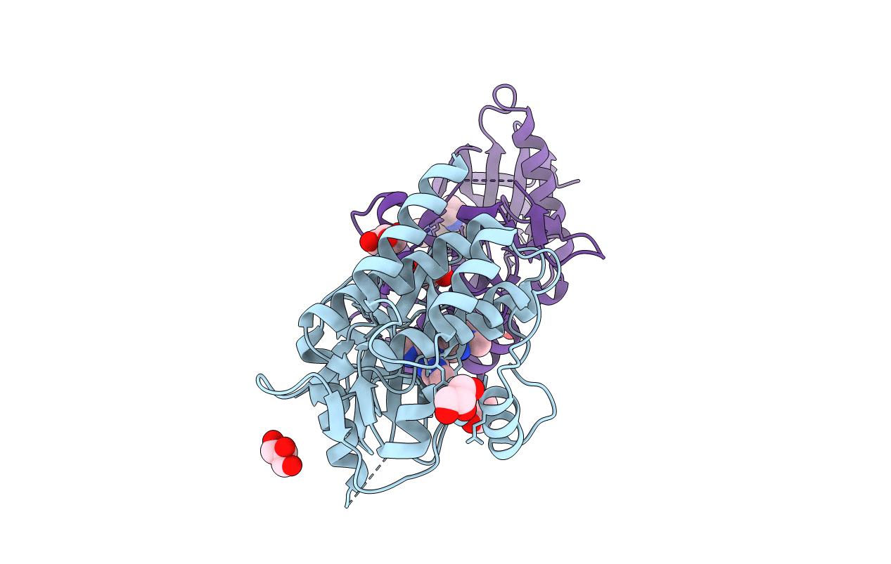 5LMB image